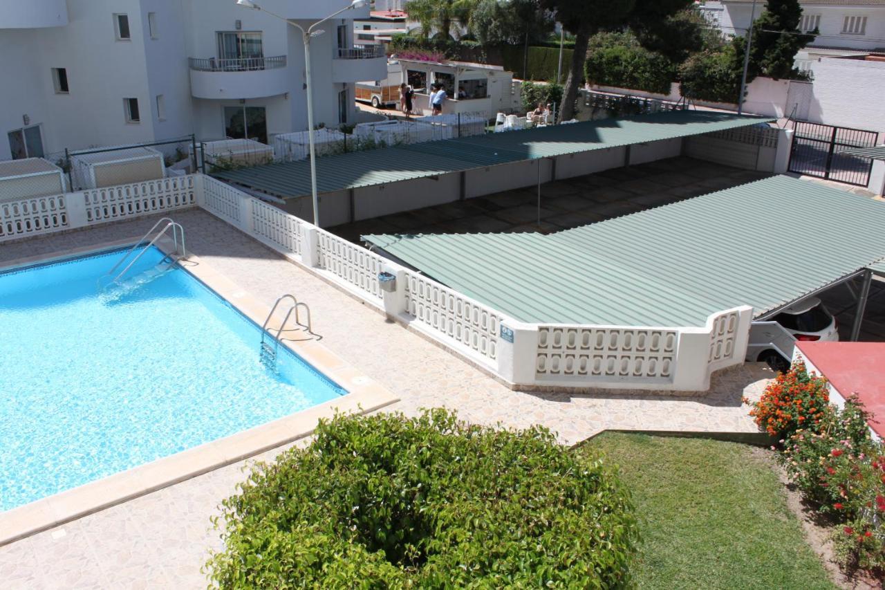 Flamingo Solo Familias Serviplaya Playa de Gandia Εξωτερικό φωτογραφία