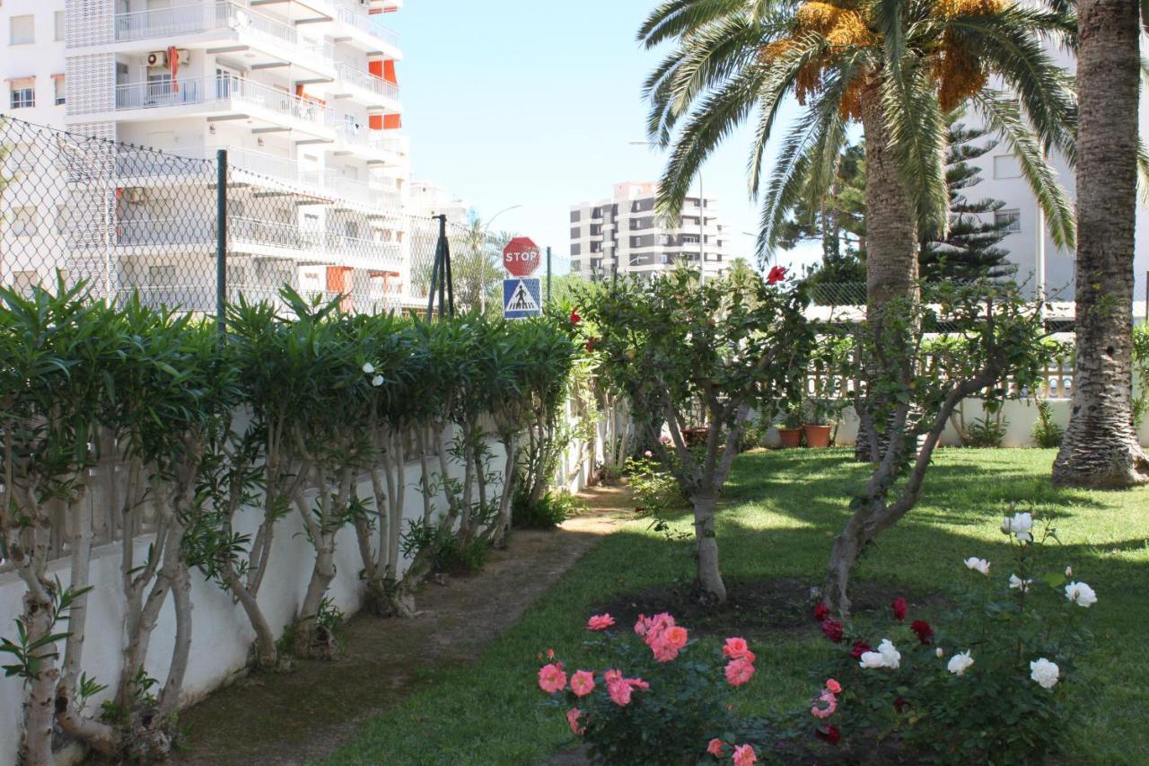 Flamingo Solo Familias Serviplaya Playa de Gandia Εξωτερικό φωτογραφία